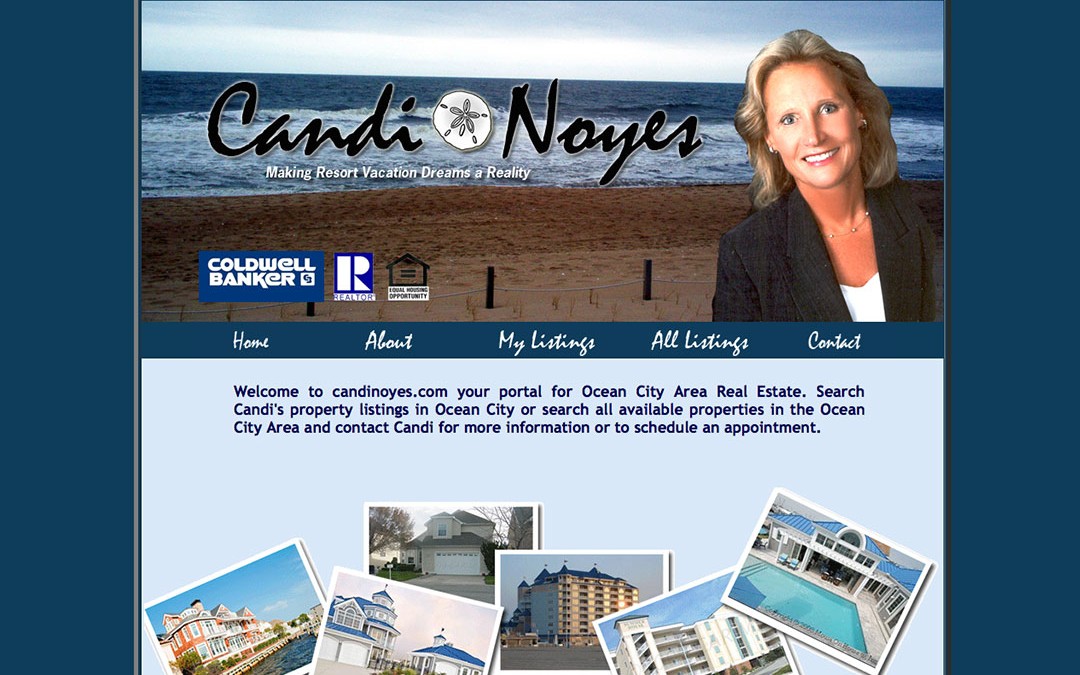 Candi Noyes Realtor